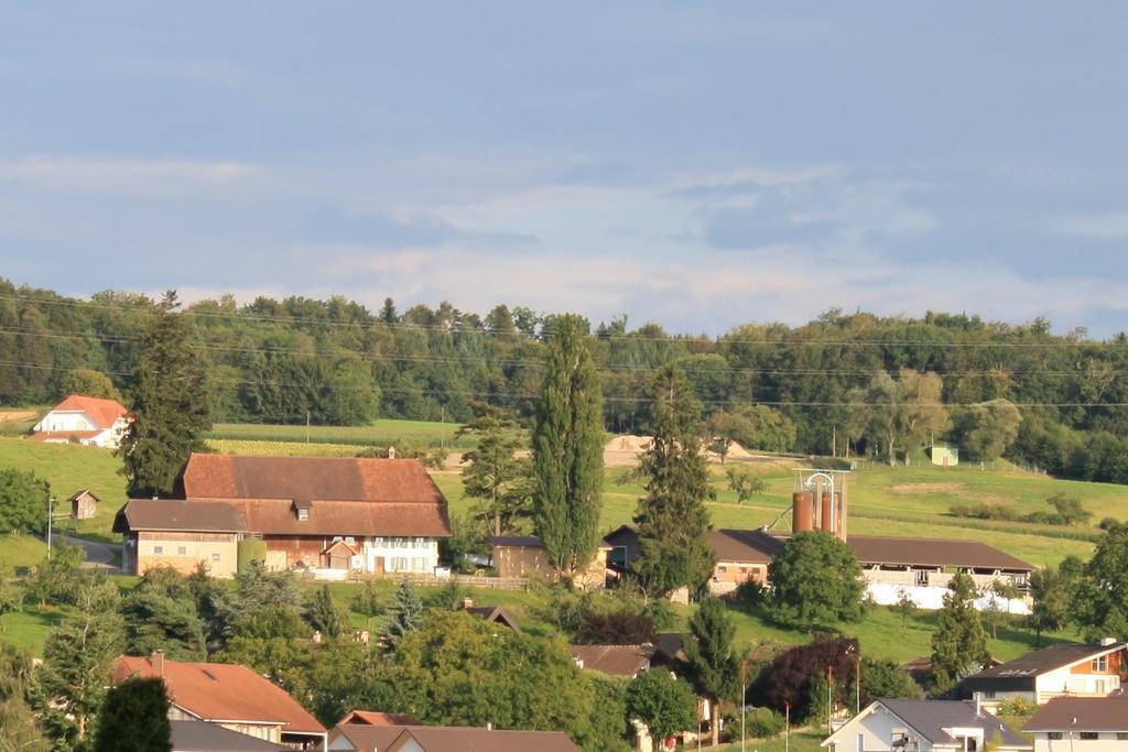 穆尔滕Hof Oberprehl公寓 外观 照片